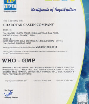 who-gmp-certificate-b
